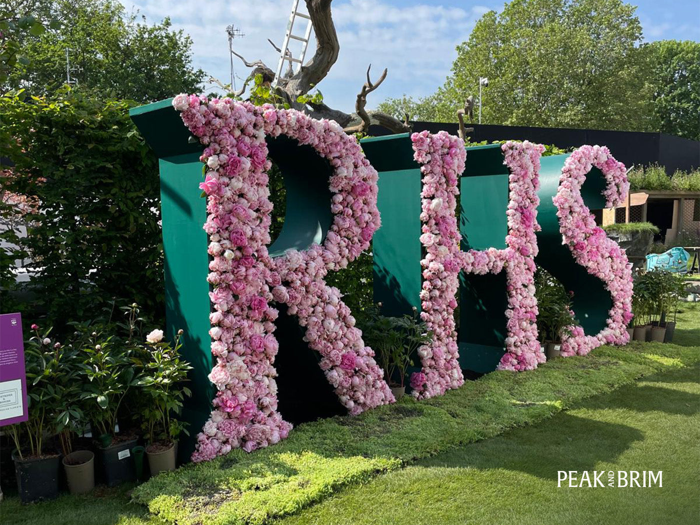 RHS Chelsea Flower Show Logo made from pink flowers